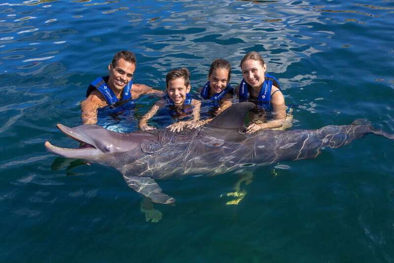 Riviera Maya: Swim with dolphins Primax - Key Points