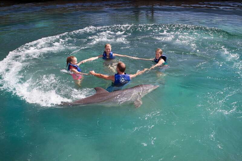 Riviera Maya: Swim with dolphins Primax - Authentic Reviews & What Travelers Say