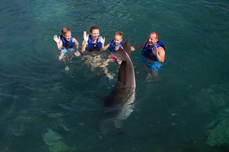 Riviera Maya: Swim with dolphins Primax - Who Is This Tour Best For?