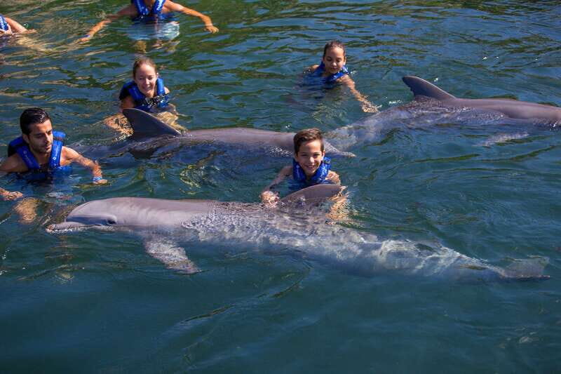 Riviera Maya: Swim with dolphins Primax - Final Thoughts
