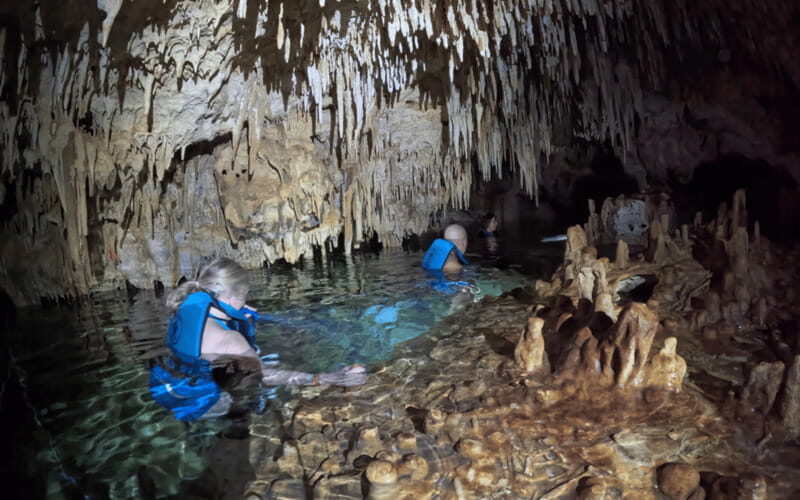 Riviera Maya: Tulum Ruins Tour, Turtle Swimming, Cenotes, and Lunch. - Practical Aspects and Logistics