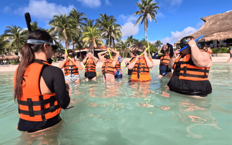 Riviera Maya: Tulum Ruins Tour, Turtle Swimming, Cenotes, and Lunch. - Who Will Love This Tour?