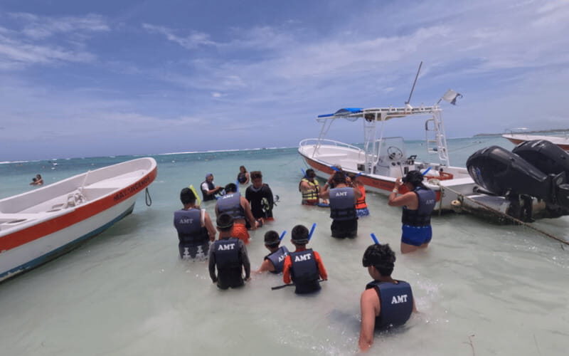 Riviera Maya: Tulum Ruins Tour, Turtle Swimming, Cenotes, and Lunch. - Final Thoughts