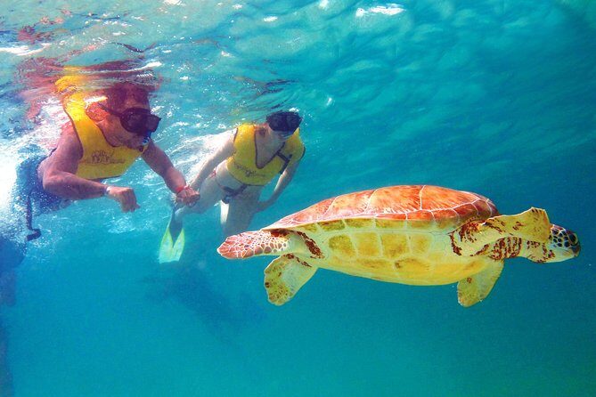 Riviera Maya Ultimate Adventure ATV's Snorkeling & Zip Lines - Practical Details and Considerations