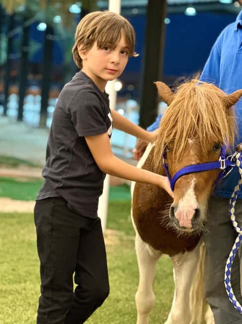 Riyadh: Arabian Horse Riding Experience - Introduction: What’s the Experience All About?