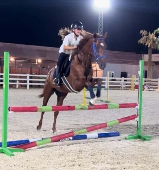 Riyadh: Arabian Horse Riding Experience - What to Expect During Your Horse Riding Adventure