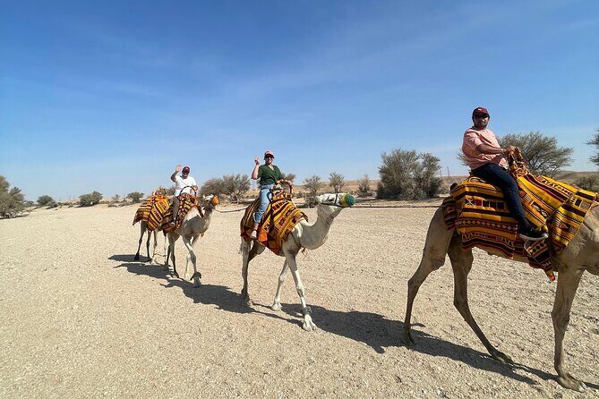 Riyadh City Tour with Camel Riding - Introduction