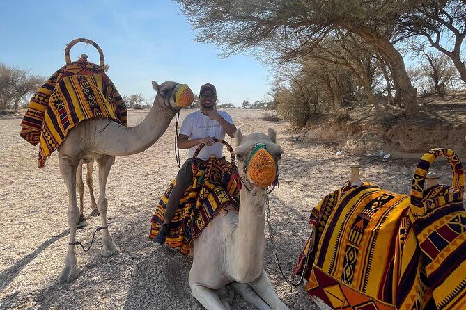 Riyadh City Tour with Camel Riding - Key Points