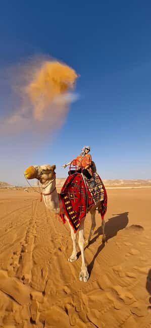 Riyadh: Desert Sand Dunes (VIT-Qude bike + Camel Ride) - Key Points