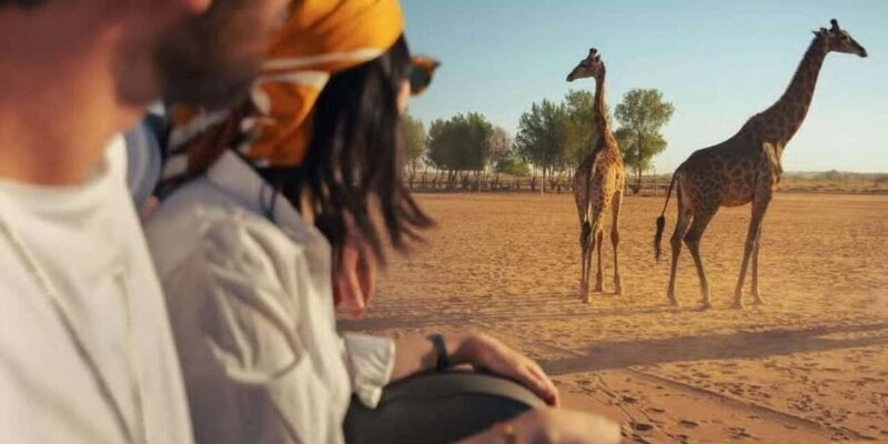 Riyadh: Nofa Wildlife Park Safari Private Tour - An In-Depth Look at the Nofa Wildlife Park Safari Private Tour