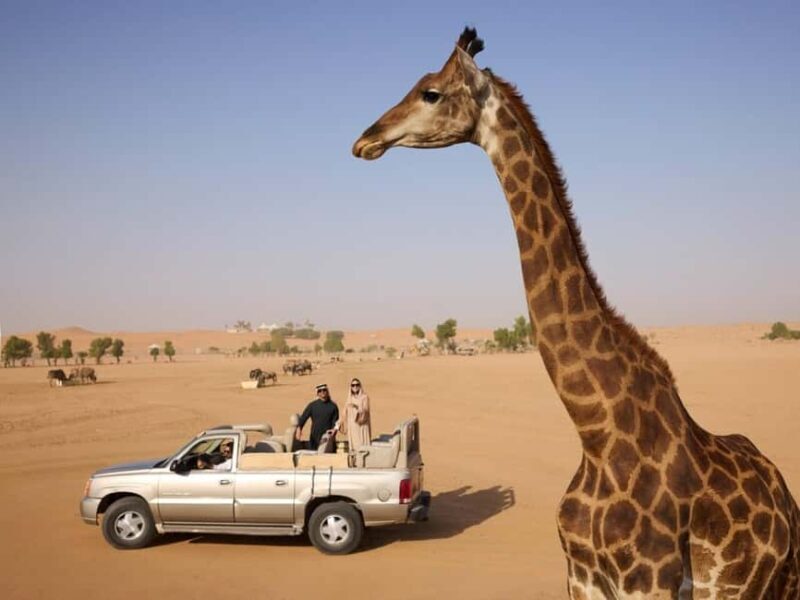 Riyadh: Nofa Wildlife Park Safari Private Tour - FAQ
