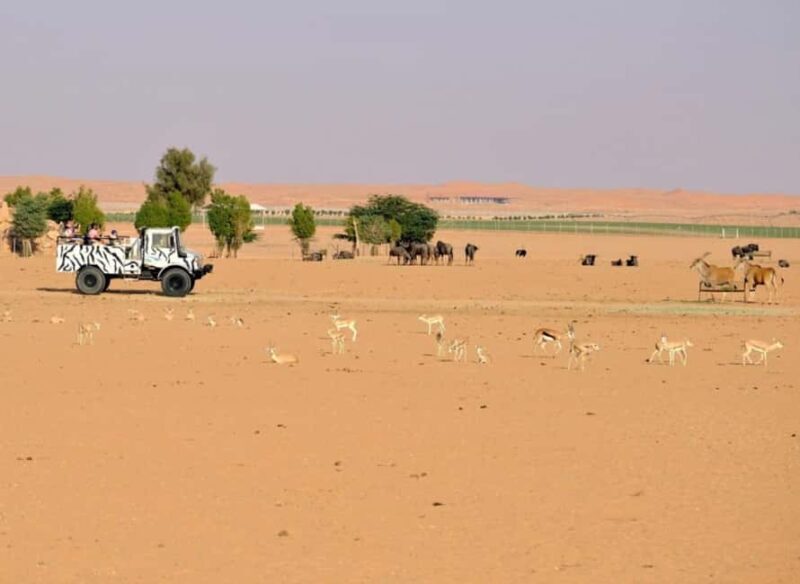Riyadh: Open-Topped Vehicle Safari at Nofa Wildlife Park - Key Points