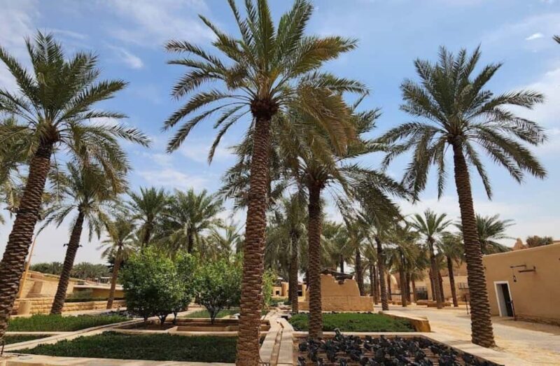Riyadh Private Full or Half-Day City Tour with Kingdom Tower - A Closer Look at the Riyadh Tour