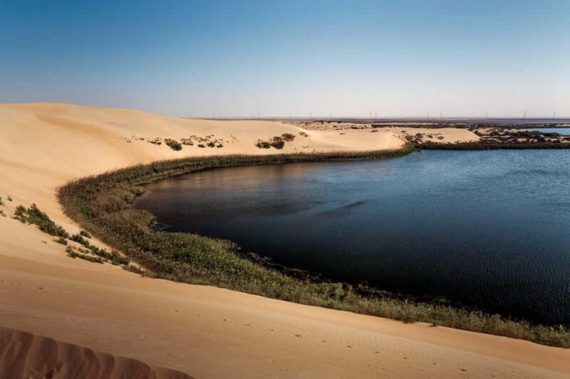 Riyadh: Private Tour to the Yellow Lake and Sand Dunes - An In-Depth Look at the Experience