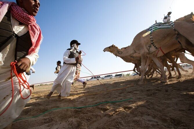 Riyadh Red Sand Dunes 4x4 (Camel Ride, Quad biking, Old Palace) - FAQ