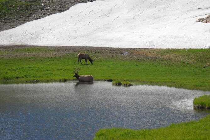 RMNP: Bear Lake Corridor Tour - The Itinerary in Detail