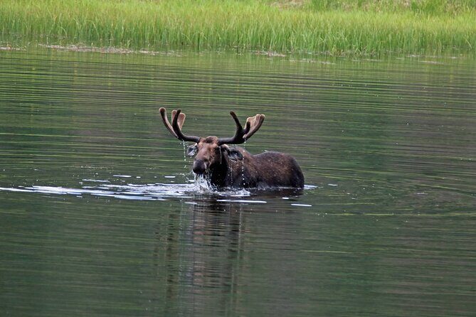 RMNP: Bear Lake Corridor Tour - FAQ
