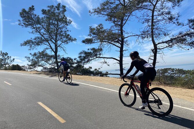 Road Bike Ride - designed for serious cyclists - Exploring the San Diego Coast on Two Wheels: A Detailed Review of the Road Bike Ride for Serious Cyclists