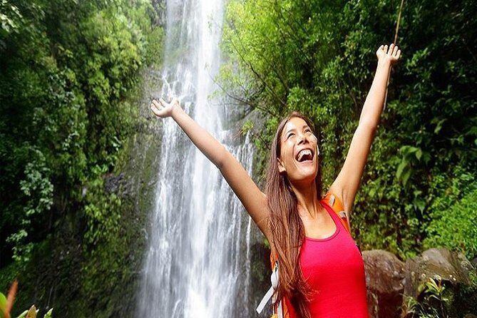 Road to Hana Deluxe Rainforest and Waterfall Experience from Maui - A Close Look at the Itinerary