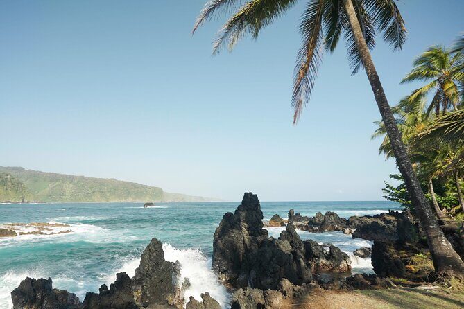 Road to Hana Deluxe Rainforest & Waterfall Experience from Oahu - The Experience in Detail
