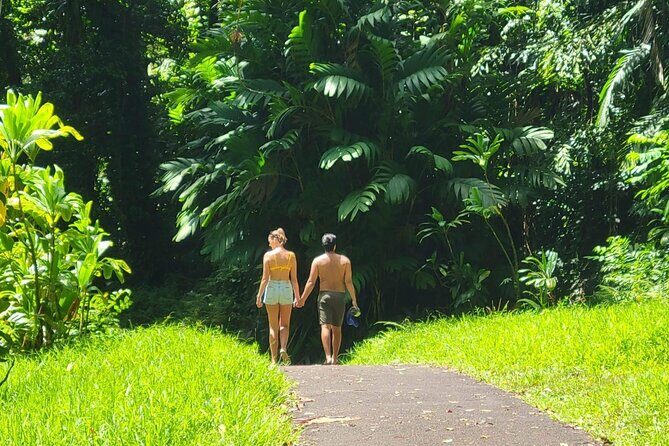 Road to Hana Full Day Tour with A Guide - The Experience from the Guides: What Travelers Say
