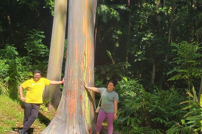 Road to Hana Full Day Tour with A Guide - Who Should Consider This Tour?