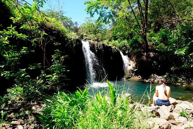 Road to Hana in Mercedes Van: Waterfalls and Black Sand Beach - An In-Depth Look at the Maui Road to Hana Tour