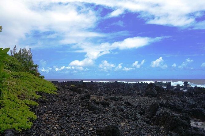 Road to Hana in Mercedes Van: Waterfalls and Black Sand Beach - The Sum Up: Who Should Book This Tour?