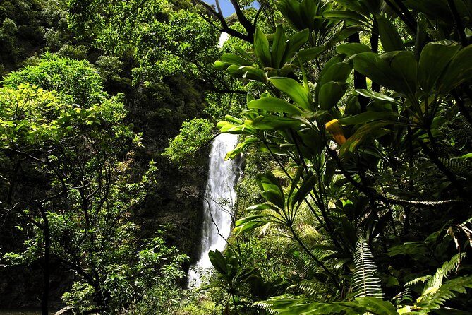 Road to Hana Luxury Limo-Van Tour with Helicopter Flight - Final Words
