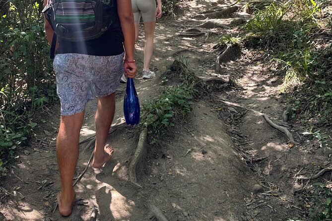 Road to Hana Maui Tours - Unique Natural Highlights