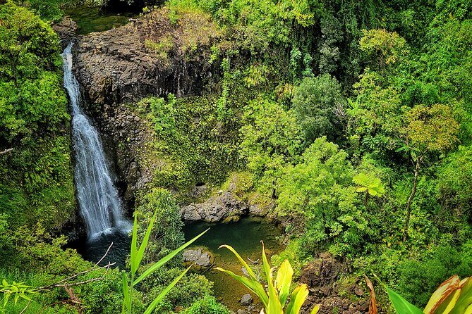 Road to Hana Private Full Day Tour - Key Points