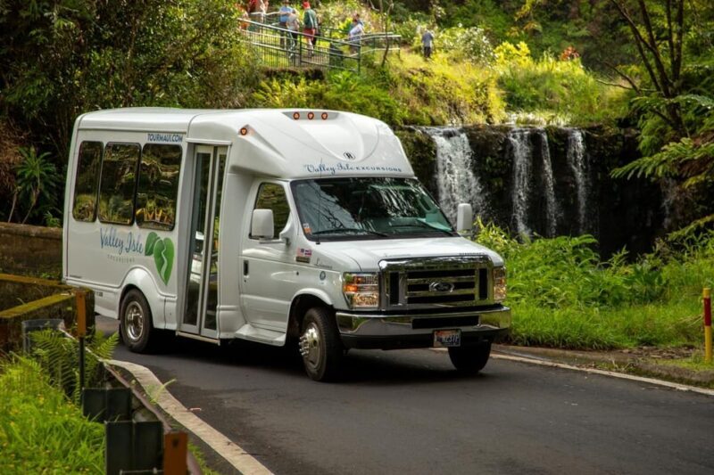 Road to Hana: Professional Guide, Food, Swimming, Waterfalls - Key Points