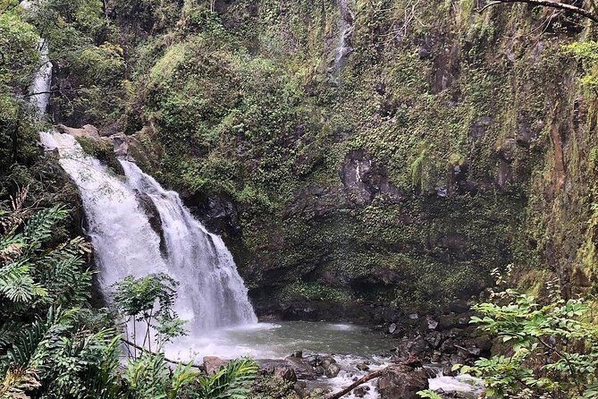 Road to Hana Tour - Best of Maui - The Itinerary in Detail: What to Expect