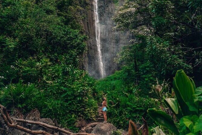 Road to Hana Tour - Best of Maui - Final Thoughts: Who Is This Tour For?