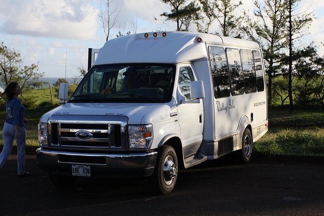 Road to Hana Tour with Lunch and Pickup - Who Should Consider This Tour?