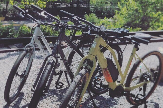 Roanoke River Greenway E-bike Rental - What Makes It Special?