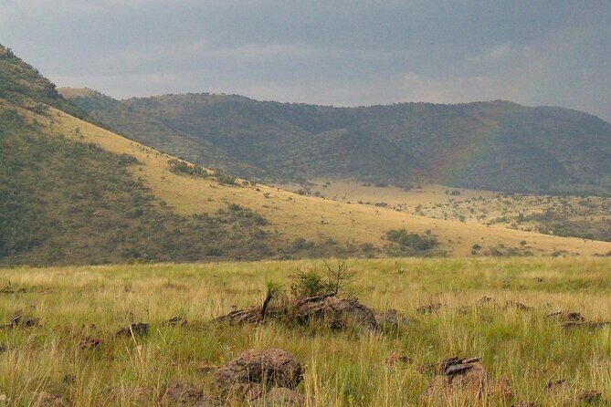 Roar through the bush Quadbike Safari Adventure near Johannesburg - Who Should Consider This Tour?