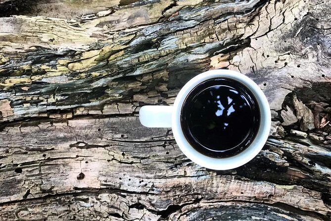 Roasting Experience at 14th Coffee Co - Who Will Love This Experience?