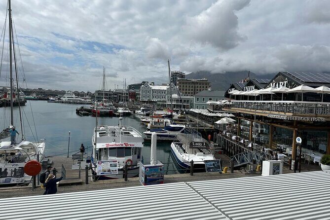Robben Island and Table Mountain Pre Booked Tickets - Practical Details and Logistics