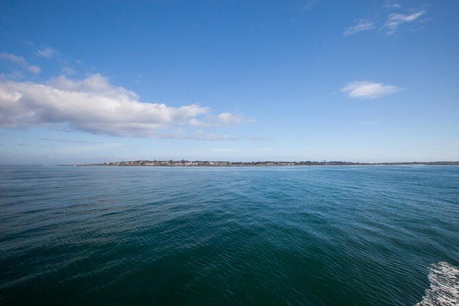 Robben Island & City stops.We confirm tickets by 8h00 am next day - Authentic Experiences and Recurring Praise