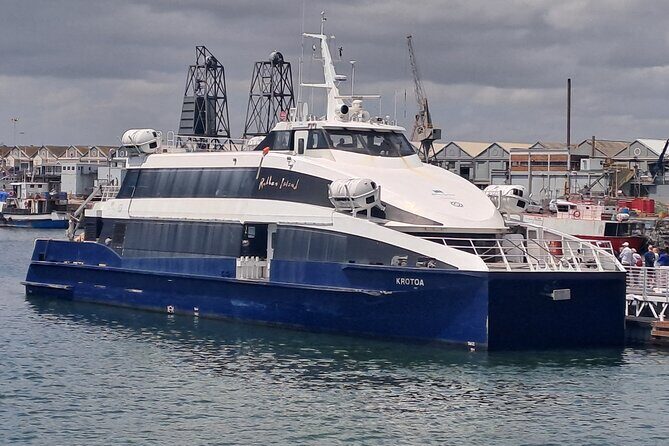 Robben Island Half Day Tour with Pre-Booked Ticket(s) - What the Price Gets You