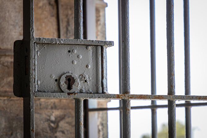 Robben Island Half Day Tour with Pre-Booked Ticket(s) - Final Thoughts: Who Is This Tour Best For?