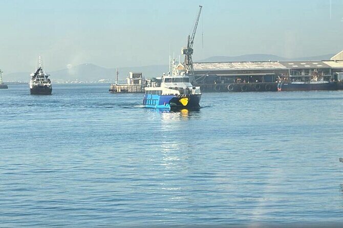 Robben Island Museum Half-Day Tour. Including all tickets. - Final Thoughts: Is This Tour Right for You?