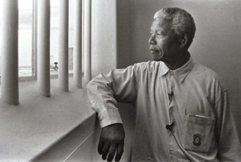 ROBBEN ISLAND MUSEUM TOUR, FERRY WITH LAST MINUTE TICKETS - Key Points