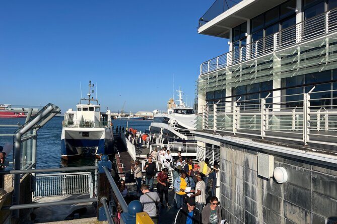 Robben Island Pre-Booked Tickets & Hassle-Free Experience - An In-Depth Look at the Tour Experience