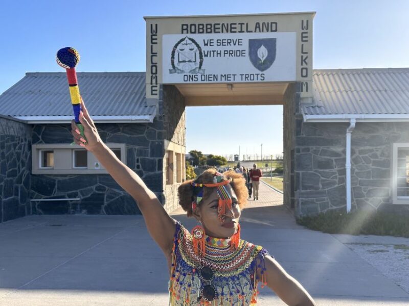 Robben Island Tickets, Penguins, and Private Cape Point Tour - Cost and Value