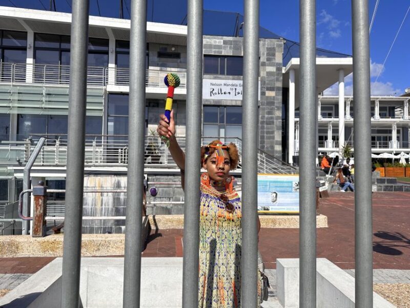 Robben Island Tickets, Penguins, and Private Cape Point Tour - Who Should Consider This Tour?