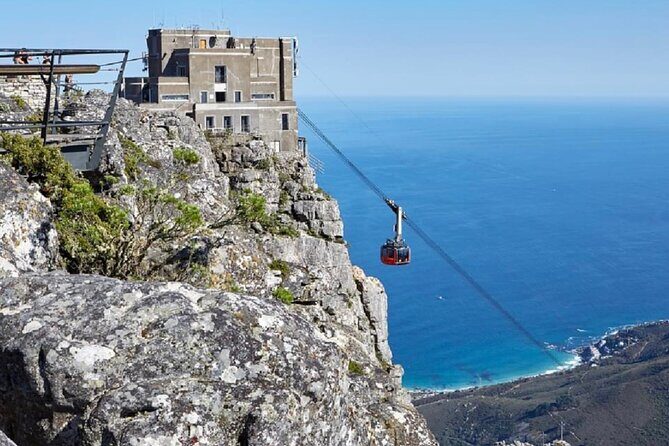 Robben Island with Tickets & Iconic Table Mountain Full Day Tour - Who Will Love This Tour?