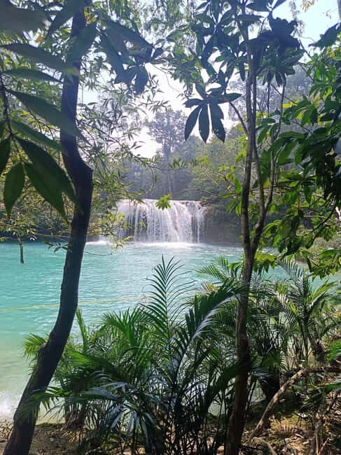 Roberto Barrios Waterfalls from Palenque - A Scenic and Cultural Escape from Palenque