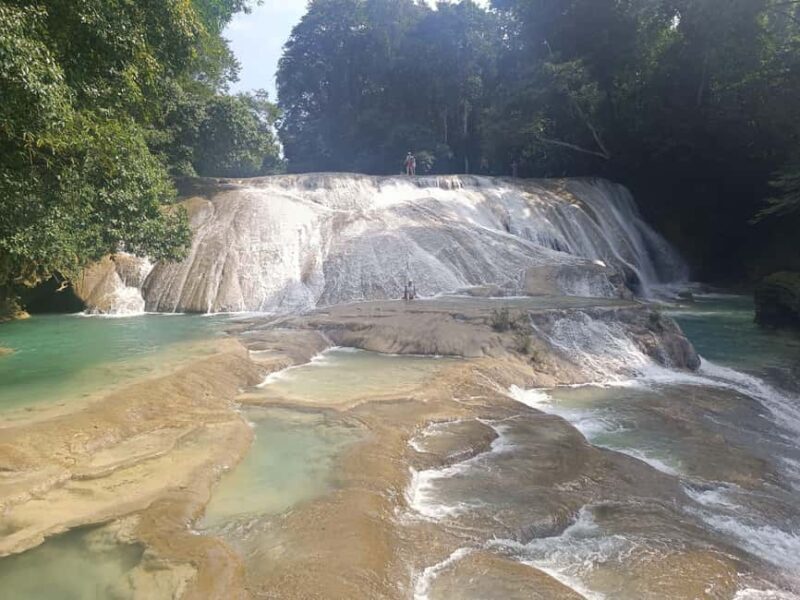 Roberto Barrios Waterfalls from Palenque - Authenticity and Traveler Feedback